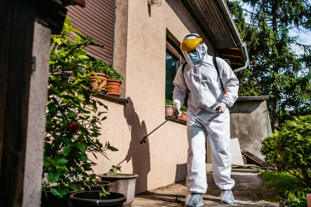 Best Cockroach Control Services  in Dortches, NC