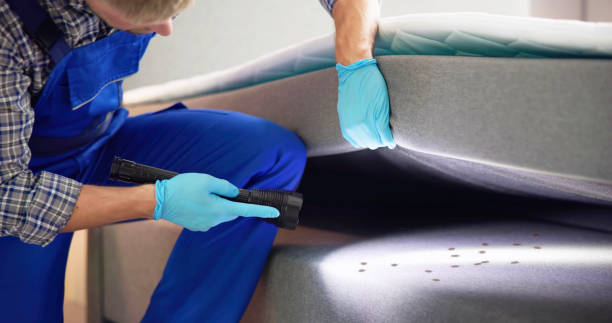 Professional Pest Control in Dortches, NC