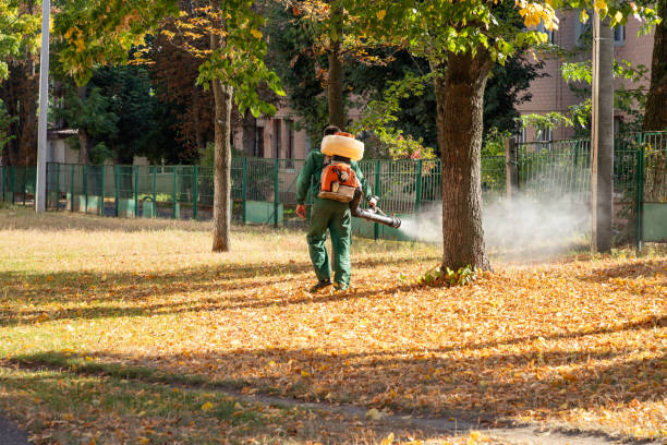 Best Affordable Pest Control Services  in Dortches, NC