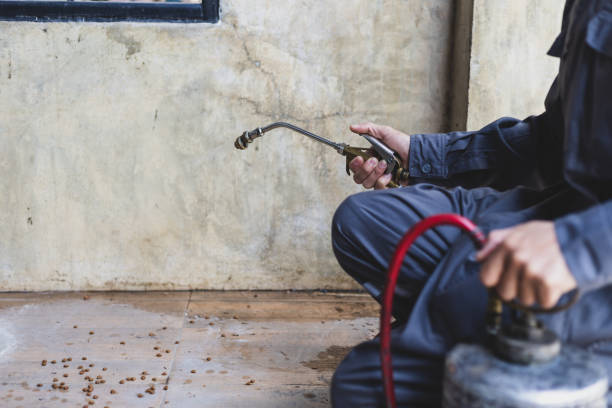 Best Local Pest Control Services  in Dortches, NC
